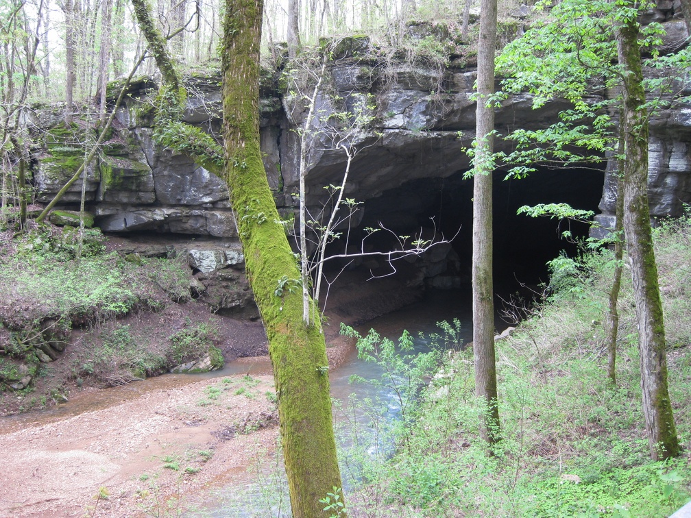 Russell Cave7
